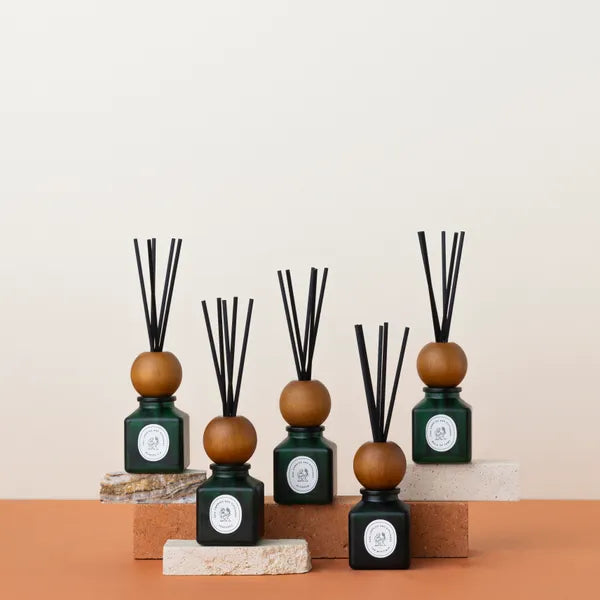 DISCOVERY SET (5x50ML)