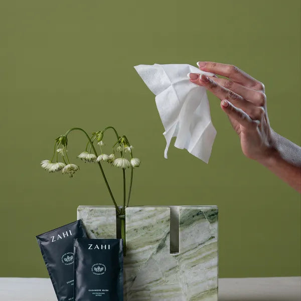 WET WIPES (50 pcs)