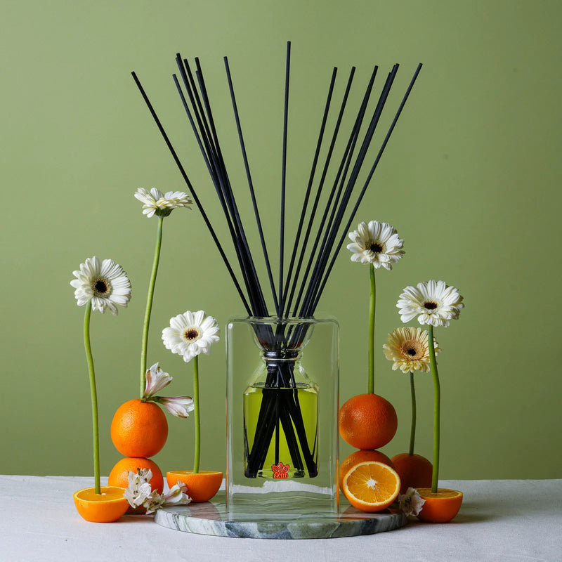 Zahi Diffuser Stay Zahi - Relax, unwind, and enjoy the ZAHI scent